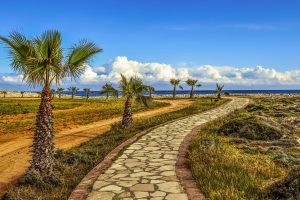 cyprus palms coastal