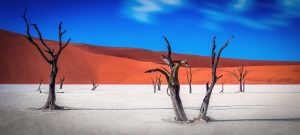 Namibia Desert