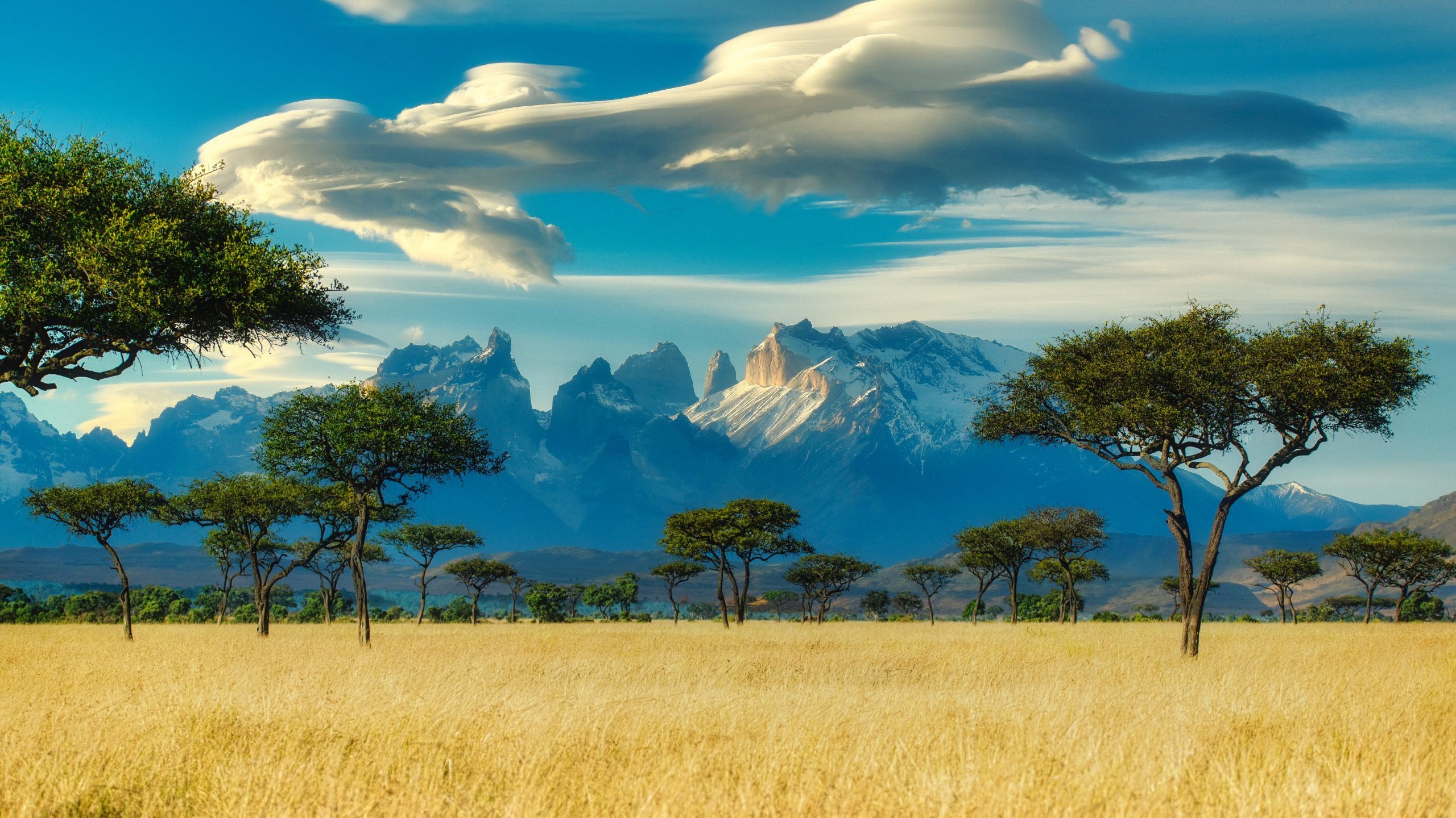 Kenya landscape