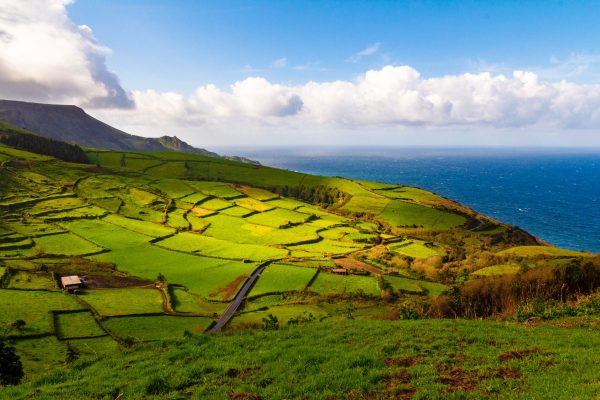 Portugal Azores Pico