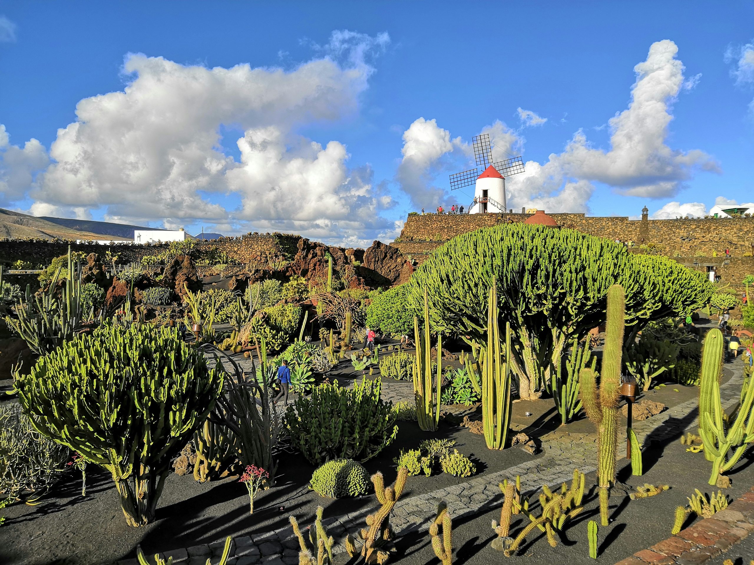 Spain Lanzarote unsplash