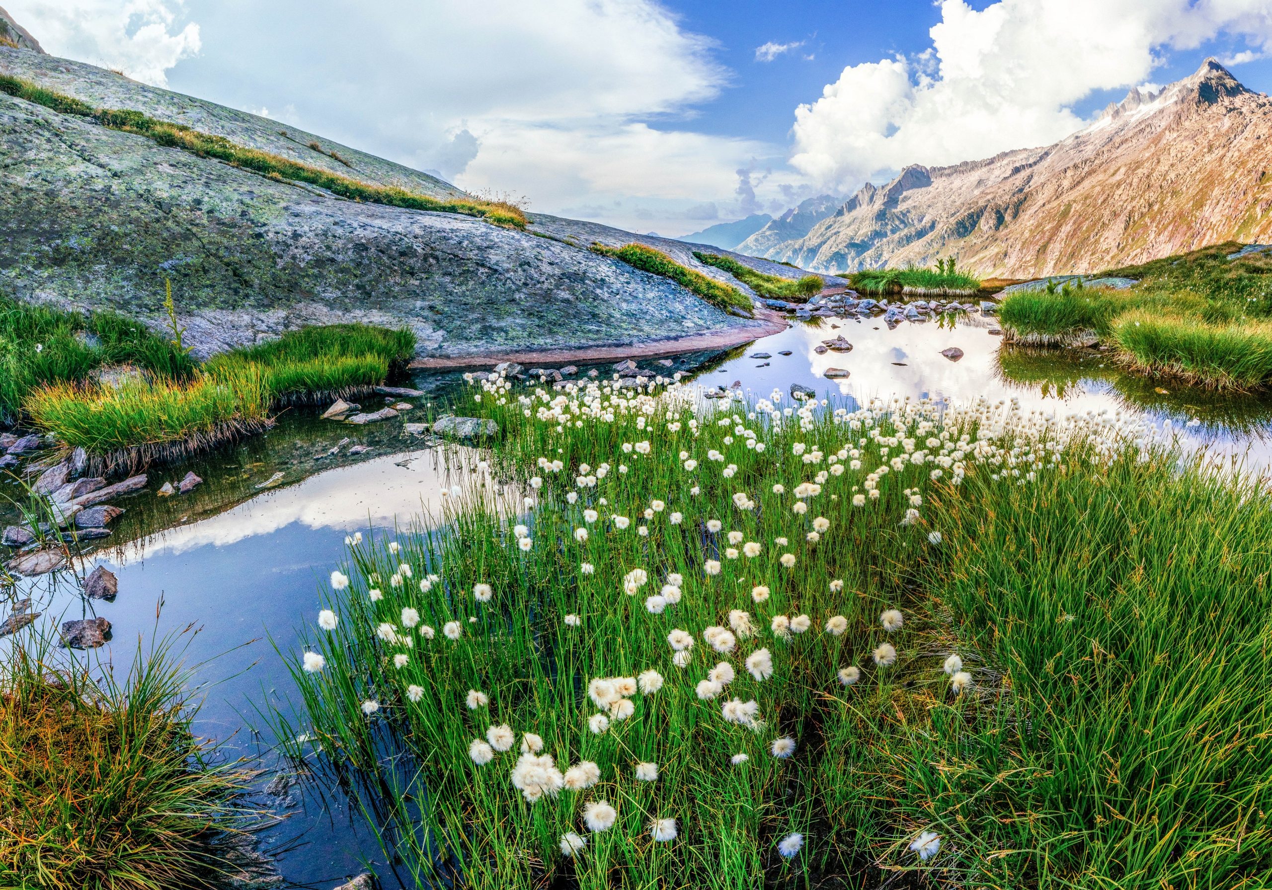 Switzerland Grimsel Pass unsplash