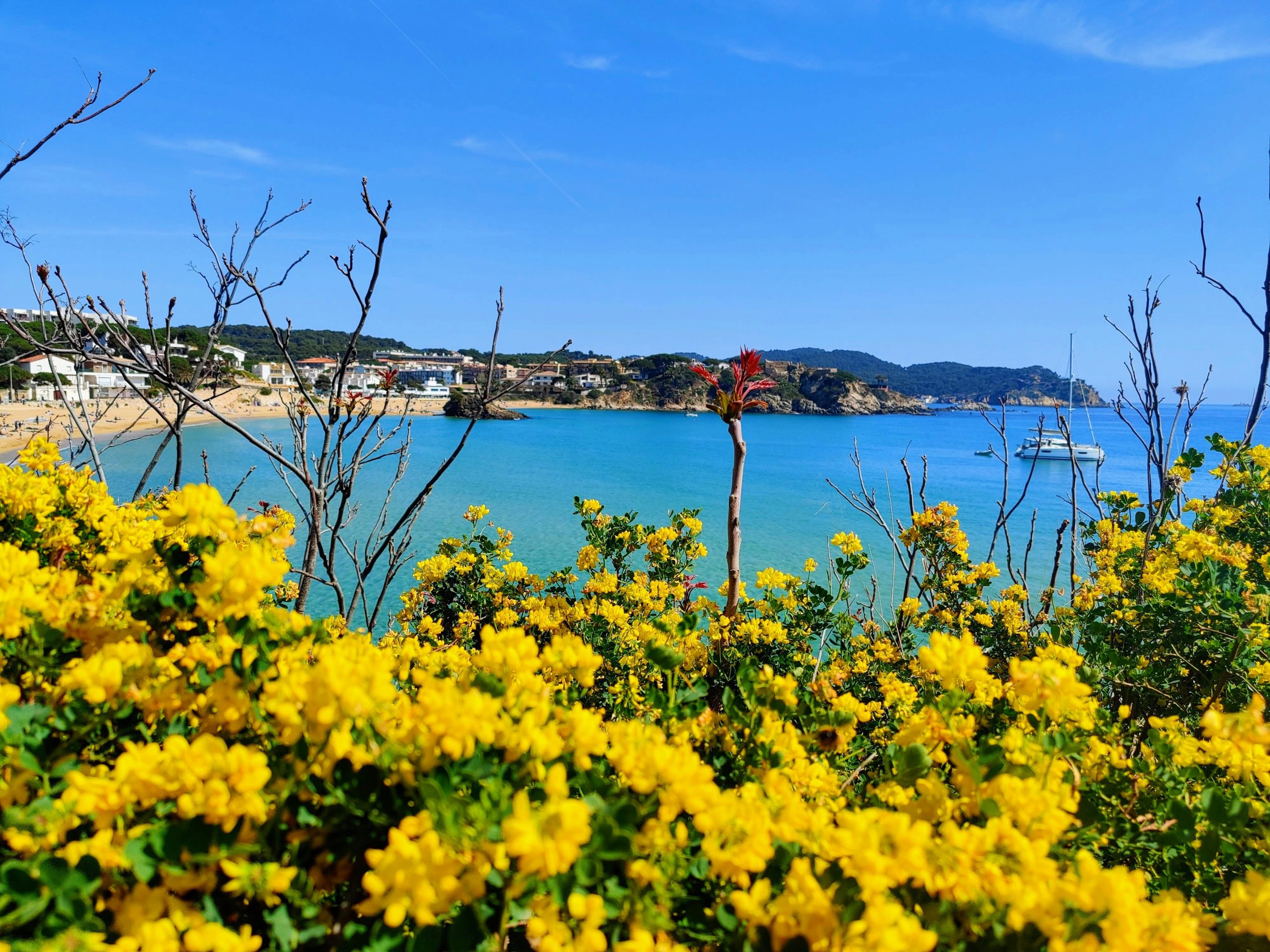 Spain Costa Brava Palamós unsplash